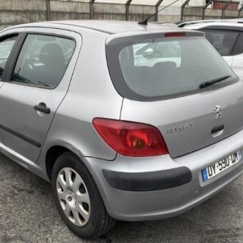 Porte avant gauche PEUGEOT 307 Photo n°13