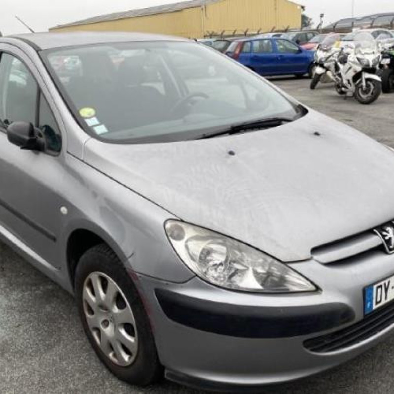 Porte avant gauche PEUGEOT 307 Photo n°16