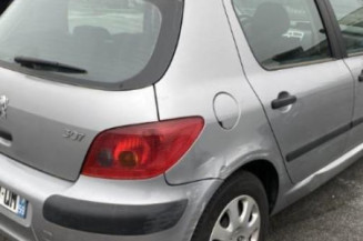 Porte avant gauche PEUGEOT 307