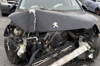 Vitre arriere gauche PEUGEOT 308 2
