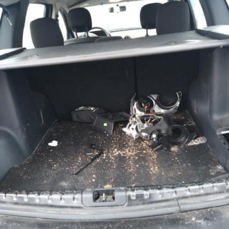 Amortisseur avant gauche DACIA DUSTER 1 Photo n°10