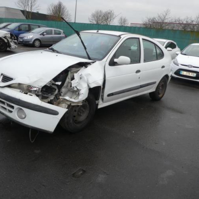 Porte avant droit RENAULT MEGANE 1 Photo n°3