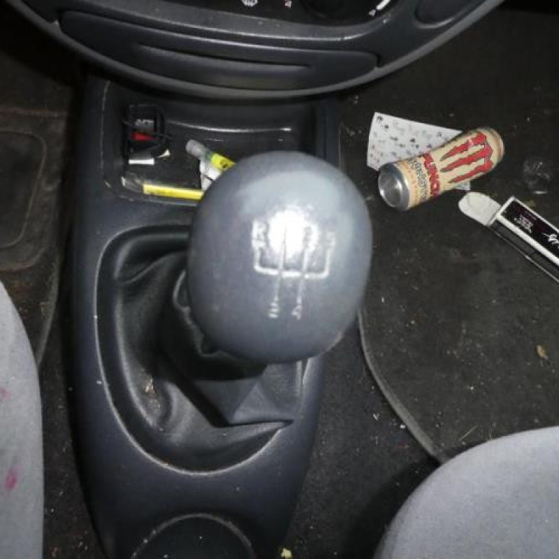 Porte avant droit RENAULT MEGANE 1 Photo n°6