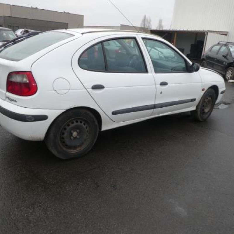 Porte avant droit RENAULT MEGANE 1 Photo n°9