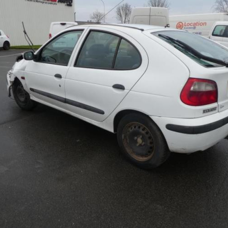 Porte avant droit RENAULT MEGANE 1 Photo n°11
