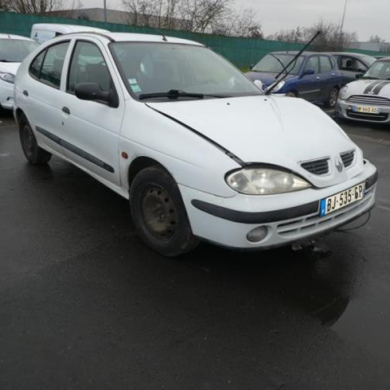 Porte avant droit RENAULT MEGANE 1 Photo n°13