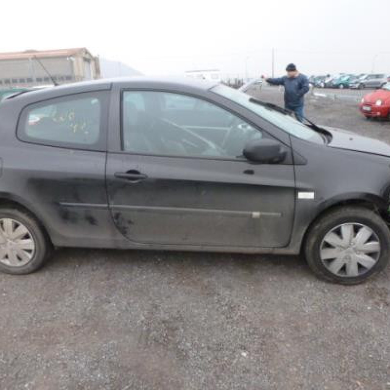 Porte avant droit RENAULT CLIO 3 Photo n°4