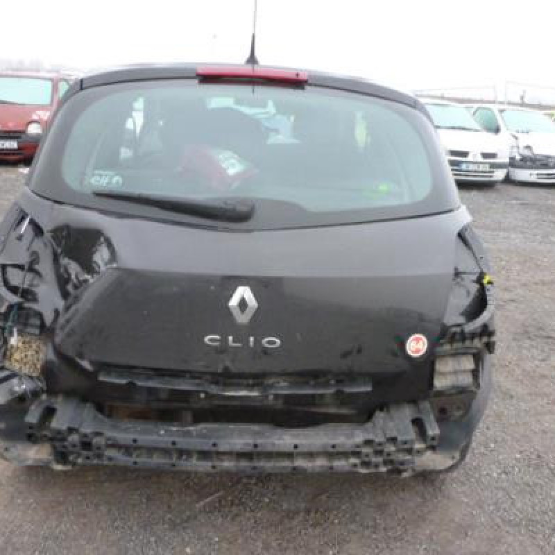 Porte avant droit RENAULT CLIO 3 Photo n°5