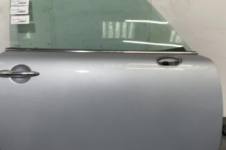 Porte avant droit MINI MINI 1 R50/R53 Photo n°1