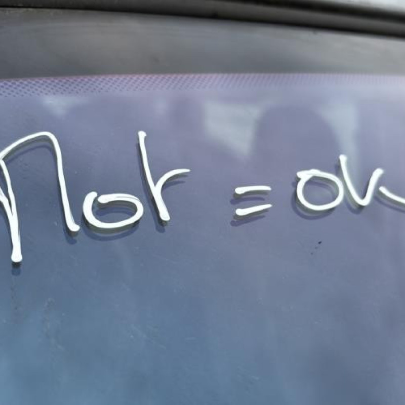 Moteur RENAULT SCENIC 1 Photo n°19