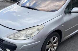 Porte arriere droit PEUGEOT 307