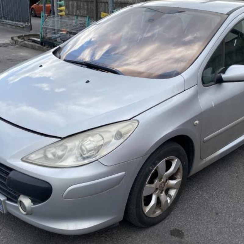 Porte arriere droit PEUGEOT 307 Photo n°9