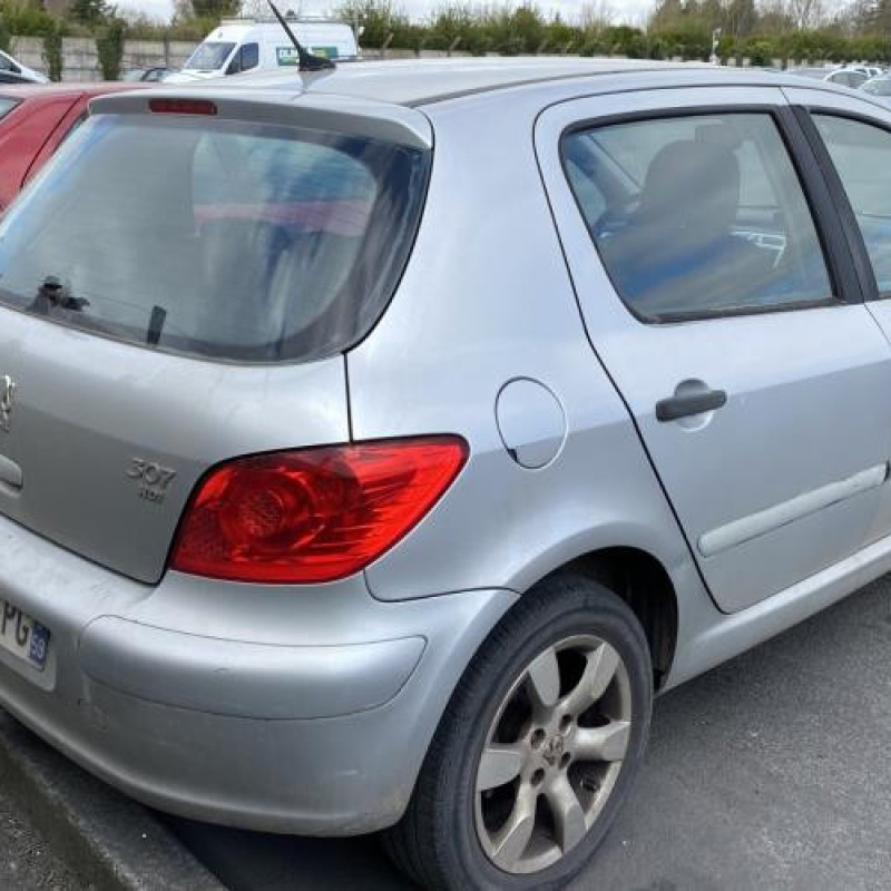 Porte arriere droit PEUGEOT 307 Photo n°11