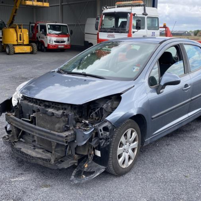 Porte avant droit PEUGEOT 207 Photo n°7