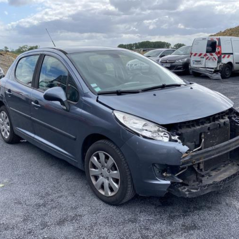 Porte avant droit PEUGEOT 207 Photo n°8
