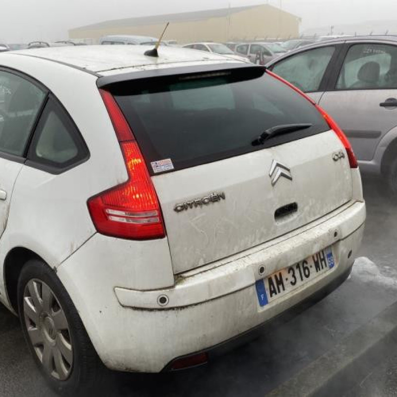 Porte avant droit CITROEN C4 1 Photo n°10