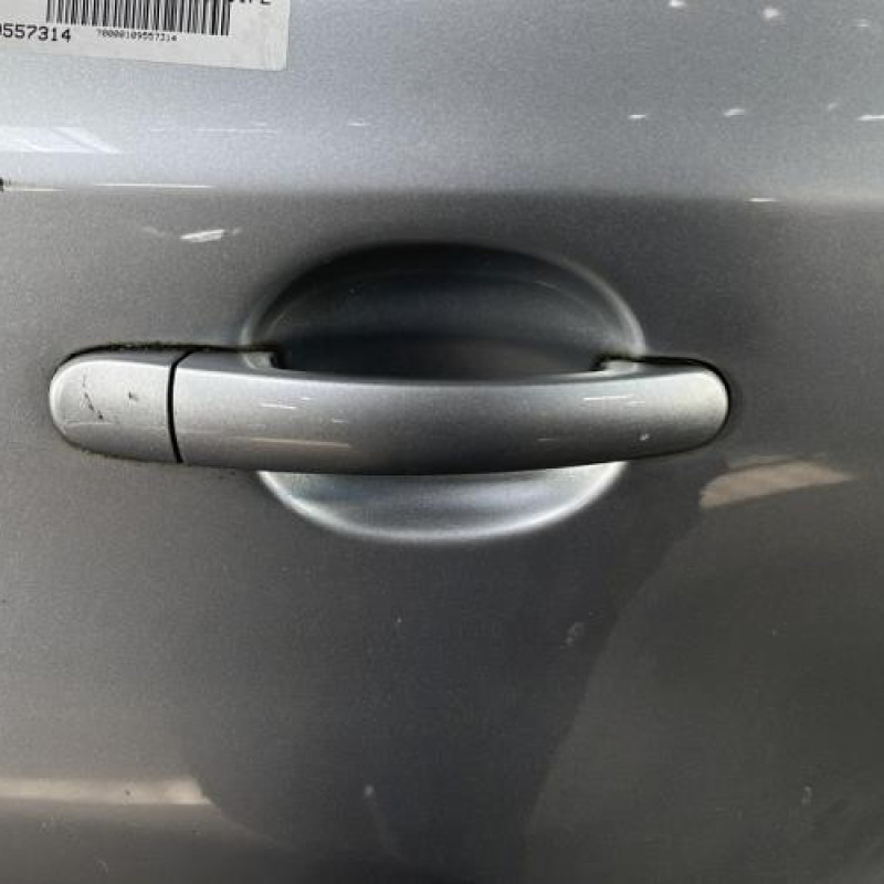 Porte arriere droit VOLKSWAGEN TIGUAN 1 Photo n°2