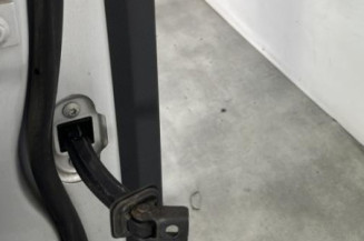 Porte arriere droit VOLKSWAGEN TIGUAN 1