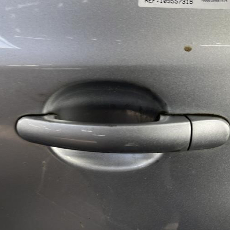 Porte arriere gauche VOLKSWAGEN TIGUAN 1 Photo n°2