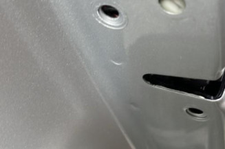 Porte arriere gauche VOLKSWAGEN TIGUAN 1