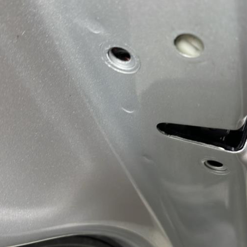 Porte arriere gauche VOLKSWAGEN TIGUAN 1 Photo n°3