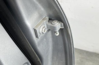 Porte arriere gauche VOLKSWAGEN TIGUAN 1