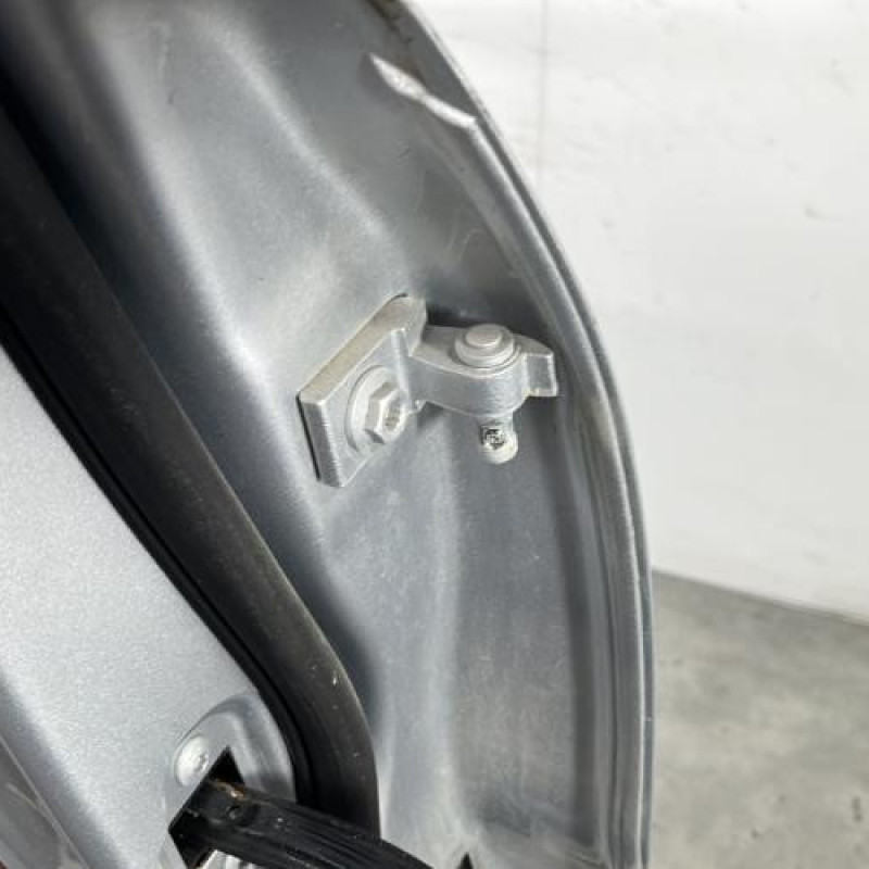 Porte arriere gauche VOLKSWAGEN TIGUAN 1 Photo n°4
