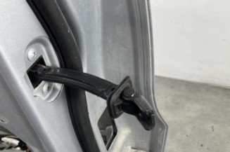 Porte arriere gauche VOLKSWAGEN TIGUAN 1
