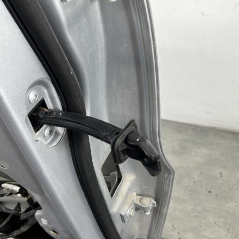 Porte arriere gauche VOLKSWAGEN TIGUAN 1 Photo n°5