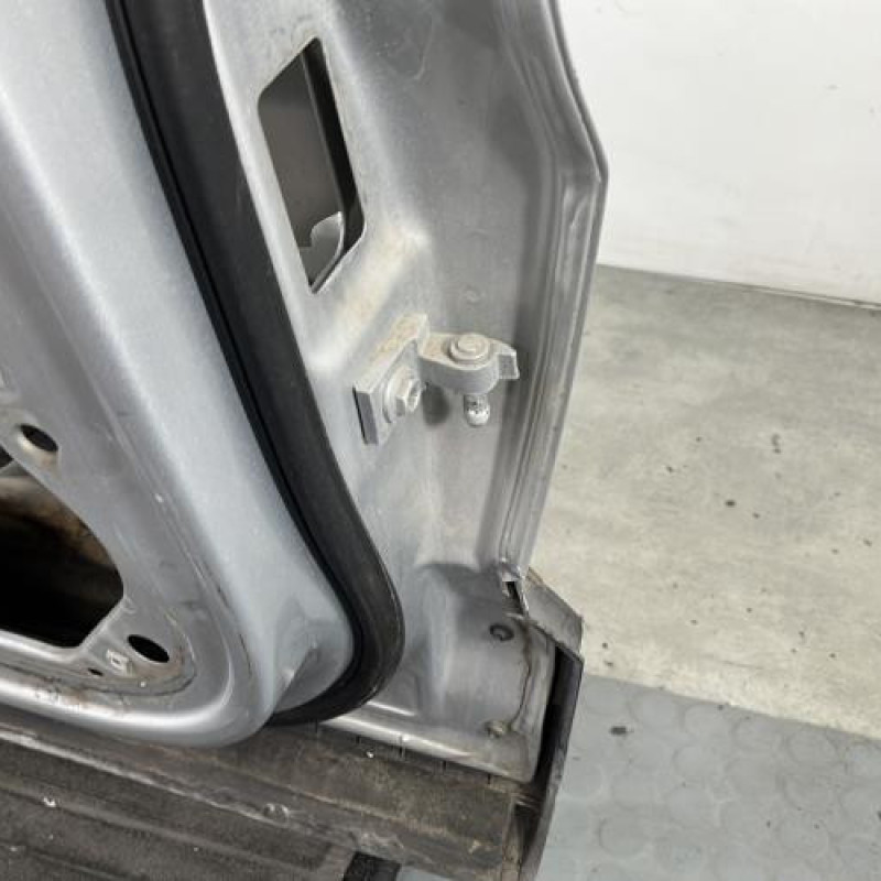 Porte arriere gauche VOLKSWAGEN TIGUAN 1 Photo n°6
