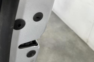 Porte avant gauche VOLKSWAGEN TIGUAN 1