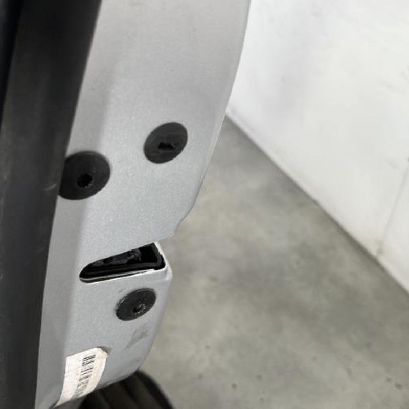 Porte avant gauche VOLKSWAGEN TIGUAN 1 Photo n°3