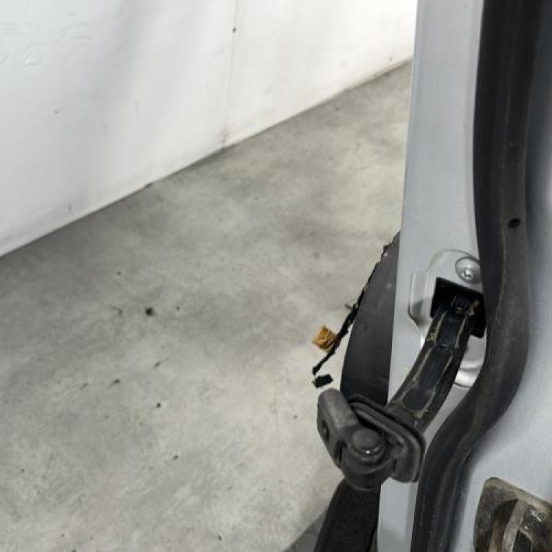 Porte avant gauche VOLKSWAGEN TIGUAN 1 Photo n°4