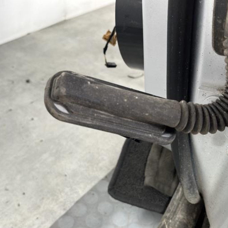 Porte avant gauche VOLKSWAGEN TIGUAN 1 Photo n°5