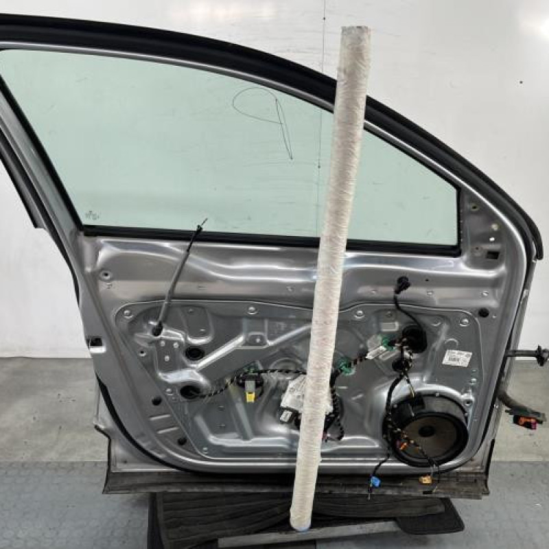 Porte avant gauche VOLKSWAGEN TIGUAN 1 Photo n°6