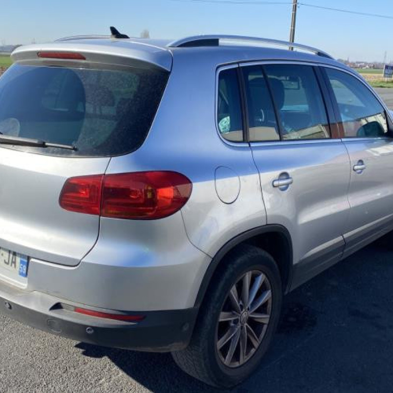 Porte avant gauche VOLKSWAGEN TIGUAN 1 Photo n°9