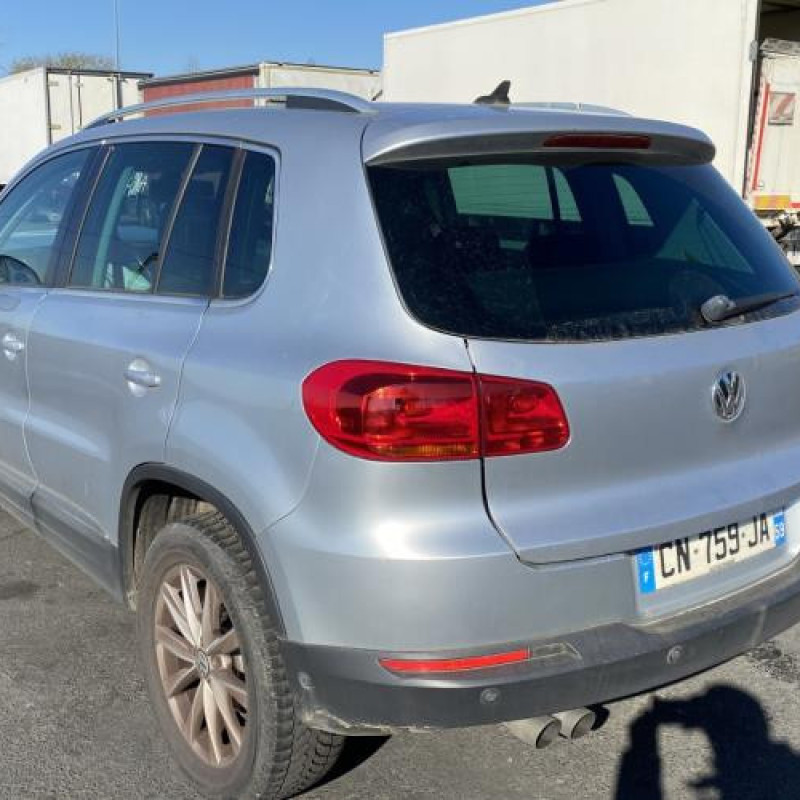 Porte avant gauche VOLKSWAGEN TIGUAN 1 Photo n°10