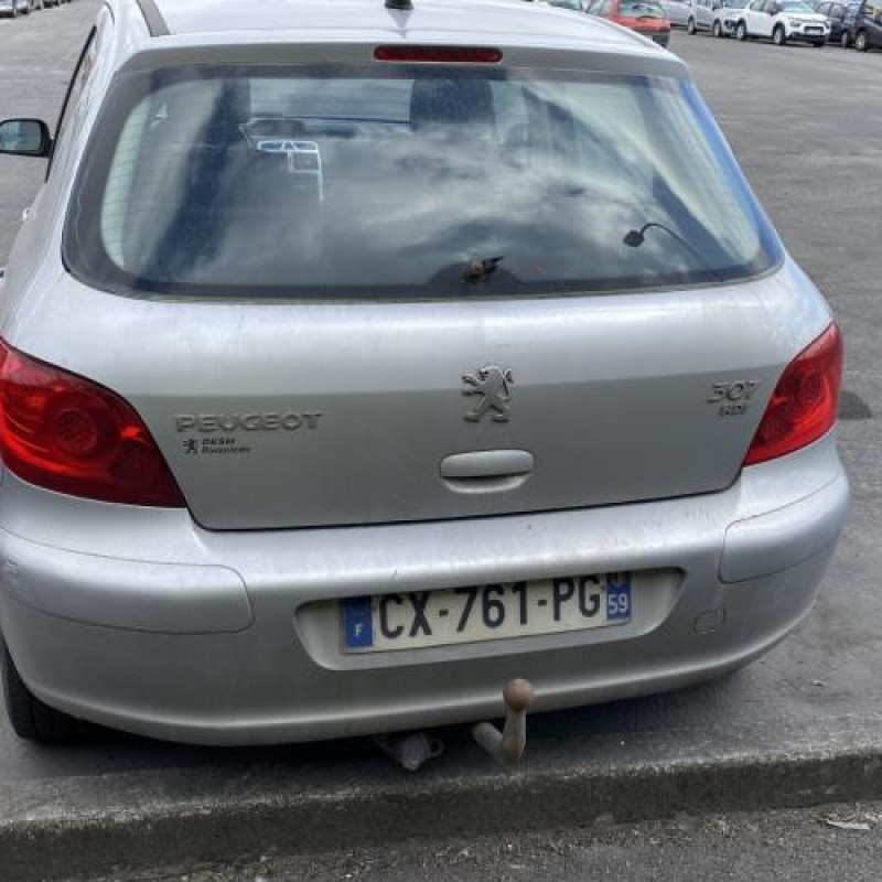 Porte avant droit PEUGEOT 307 Photo n°11