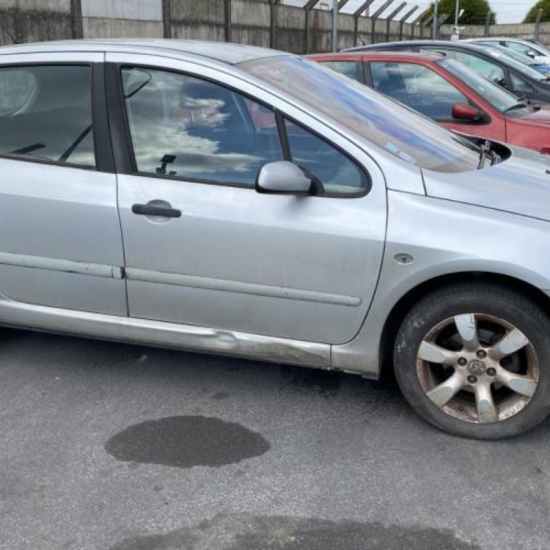 Porte avant droit PEUGEOT 307 Photo n°13
