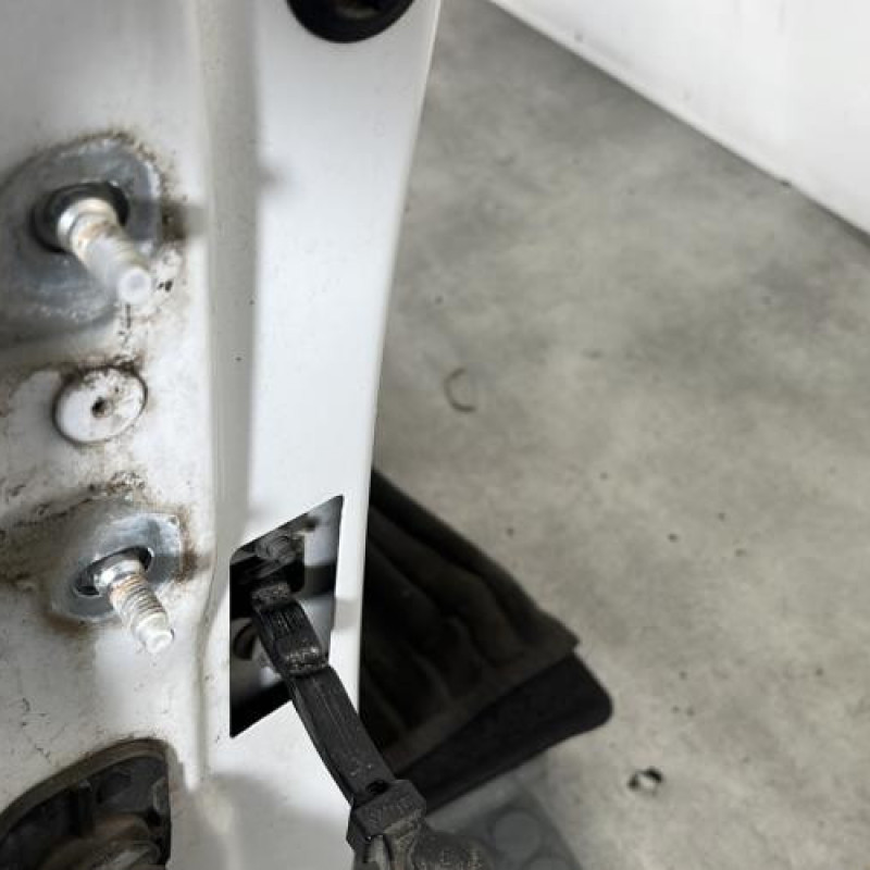Porte avant droit RENAULT CLIO 4 Photo n°4