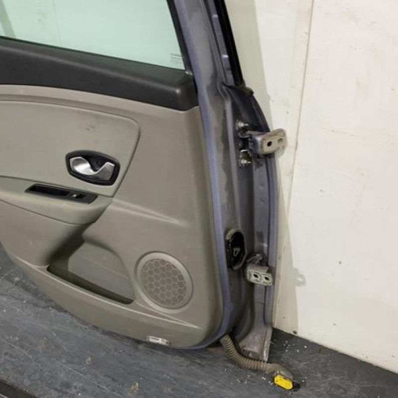 Porte arriere gauche RENAULT MEGANE 3 Photo n°3