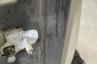 Porte avant droit RENAULT CLIO 3