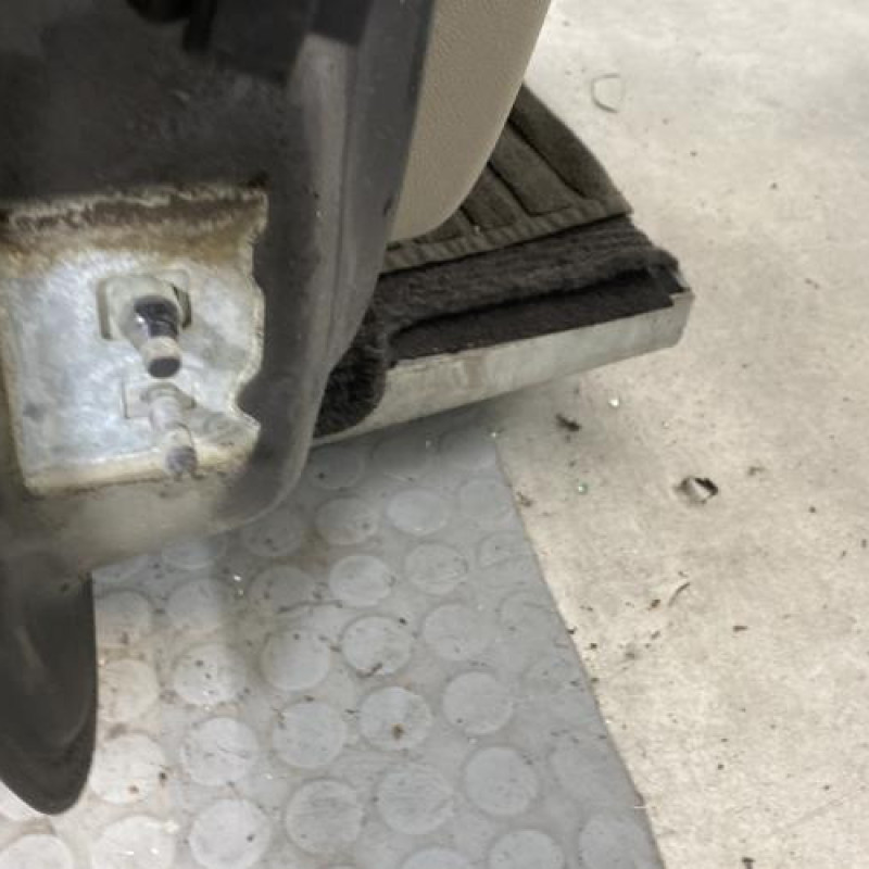 Porte avant droit RENAULT CLIO 3 Photo n°5