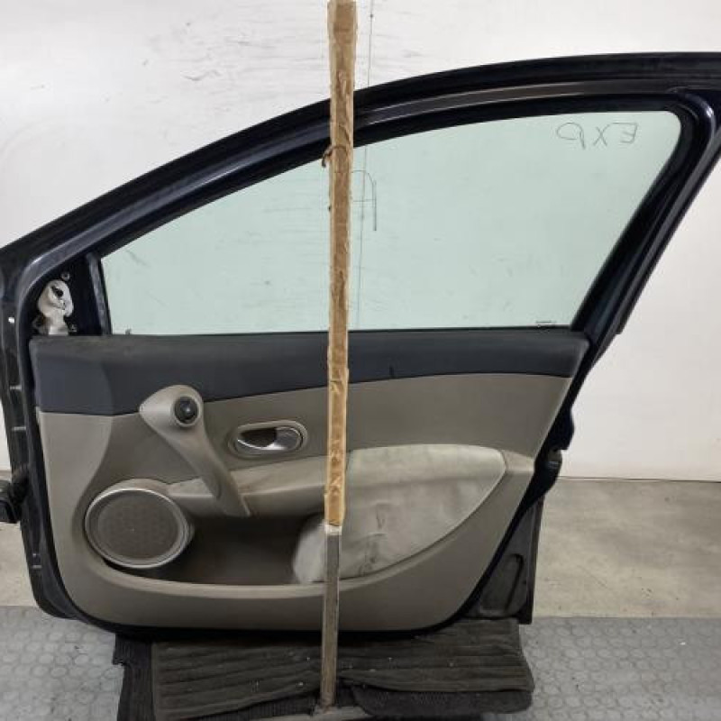 Porte avant droit RENAULT CLIO 3 Photo n°6