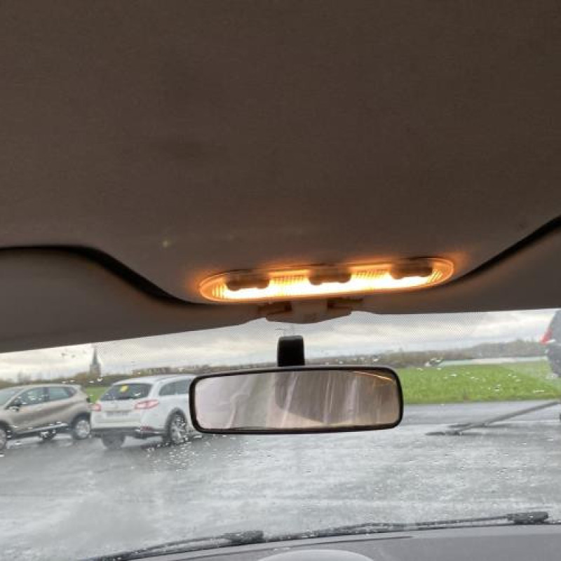 Porte avant droit RENAULT CLIO 3 Photo n°20