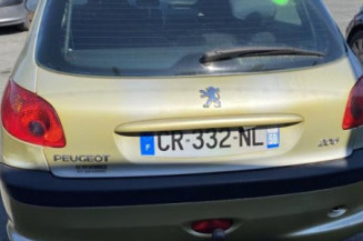 Vitre arriere gauche PEUGEOT 206
