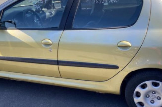Vitre arriere gauche PEUGEOT 206