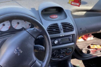 Vitre arriere gauche PEUGEOT 206