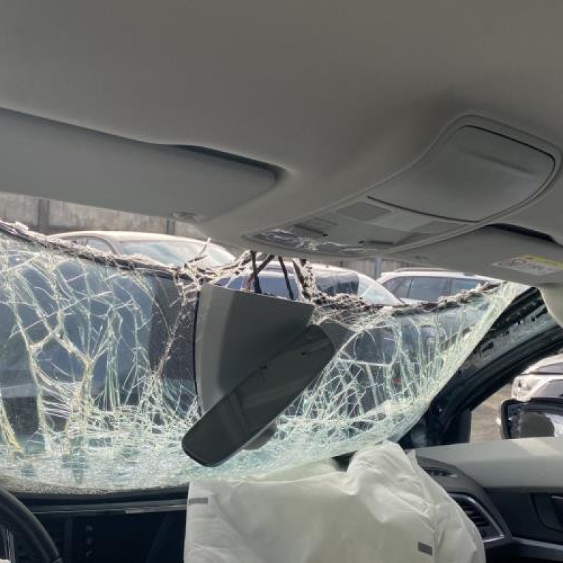 Vitre arriere droit SEAT ATECA Photo n°19