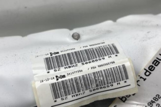 Air bag rideau gauche DS DS5